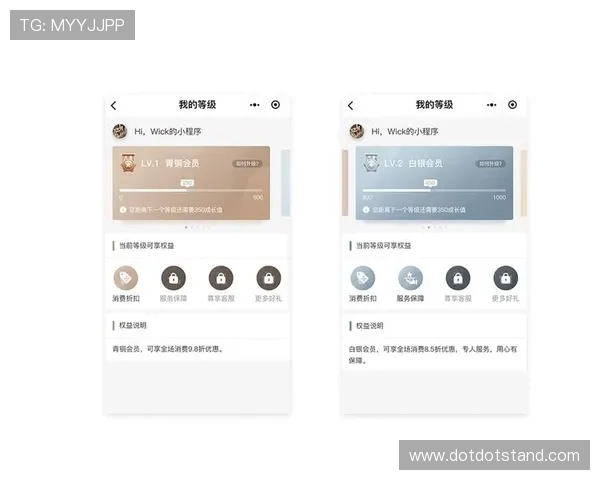 欧博abg会员等级划分及升级条件解析提升你的会员等级体验
